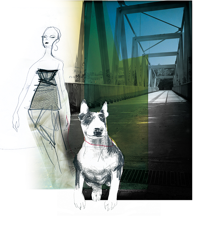 Illustration.dogs.Mode