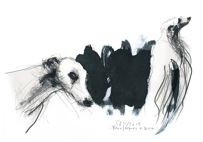 Illustration.dogs.Whippet