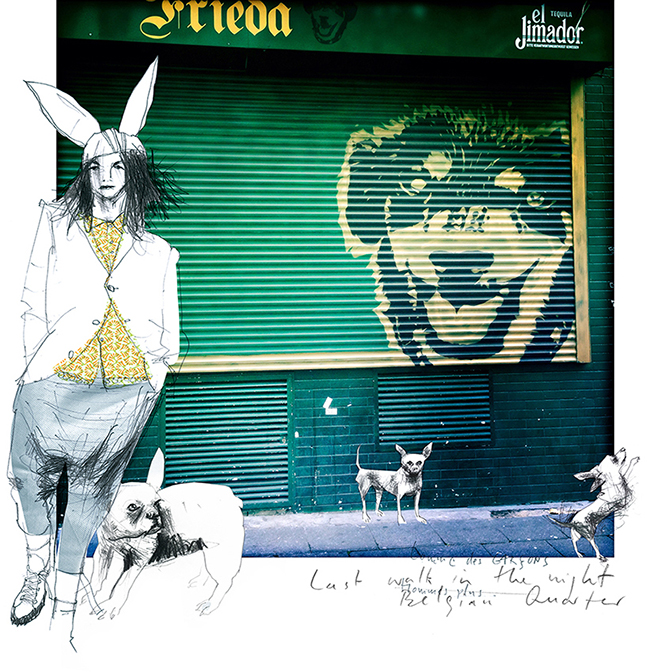 Illustration.dogs.mode