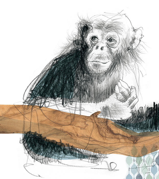 Illustration.Illu16.Äffchen